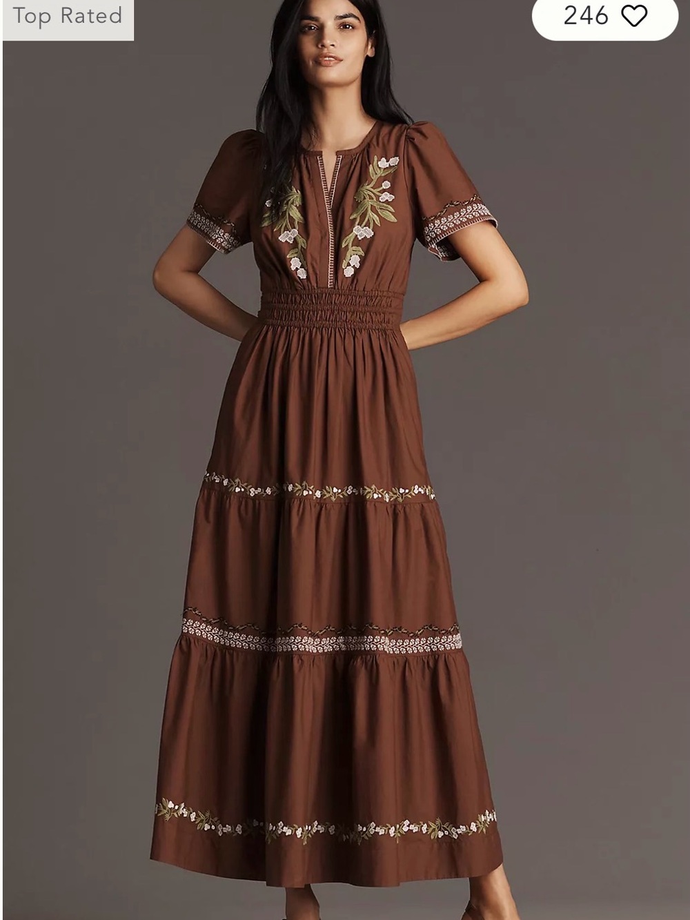 Anthropologie Embroidered Maxi Dress in Brown Size Medium